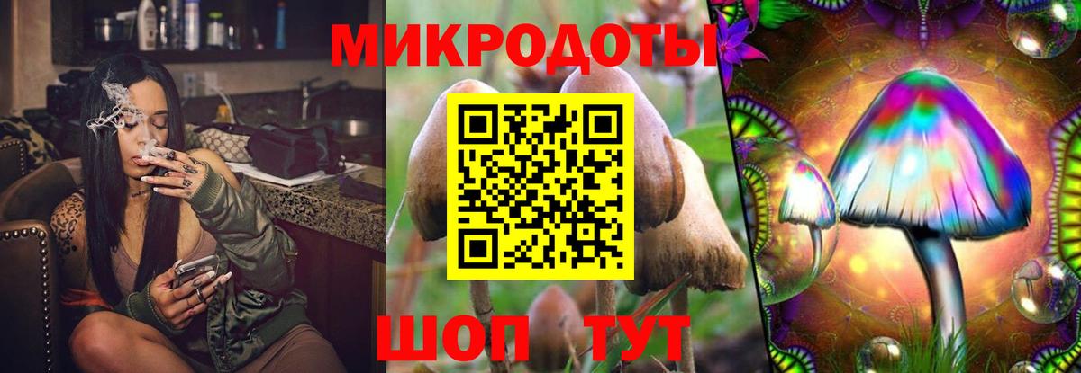 Псилоцибиновые грибы MAGIC MUSHROOMS Кандалакша
